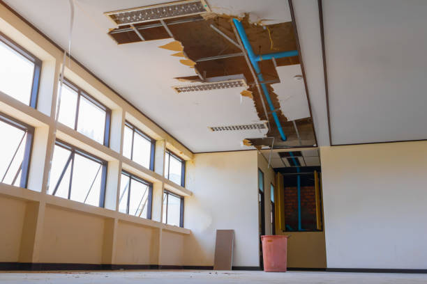 Best Residential water damage restoration  in Tice, FL