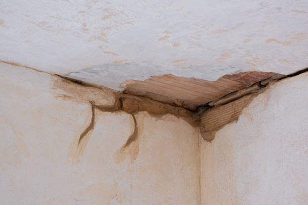 Sewage cleanup and water damage restoration in Tice, FL